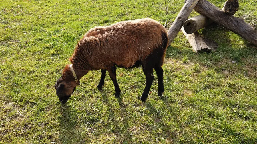 Seehaus in Leonbergs