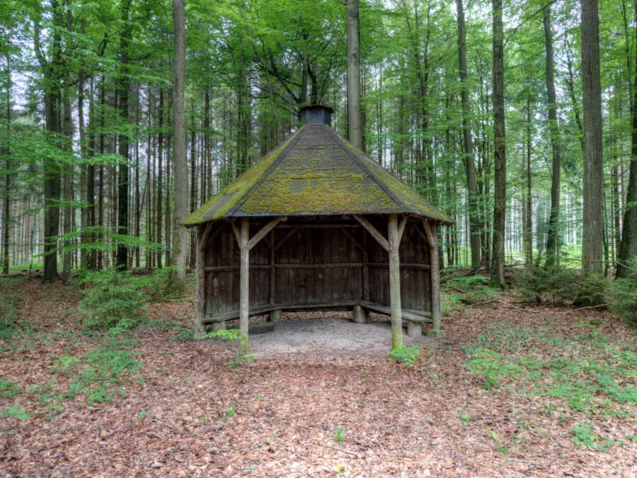 Ich mit meiner Mutter im Wald