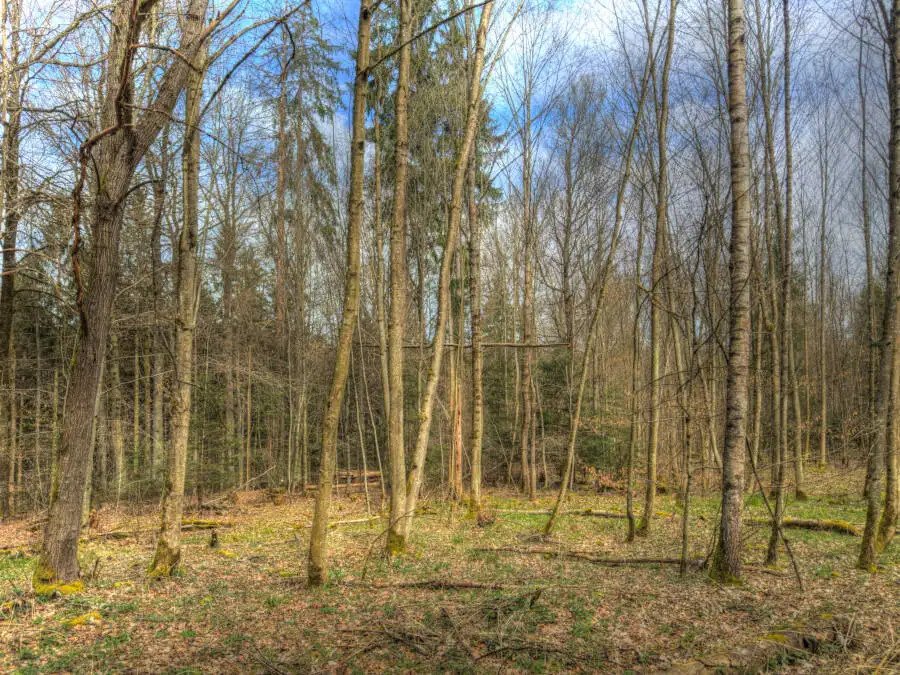 Osterspaziergang 2024