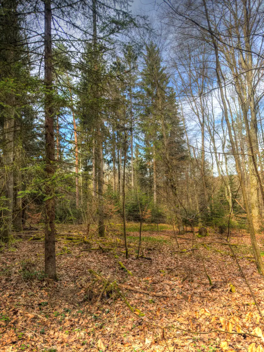 Osterspaziergang 2024