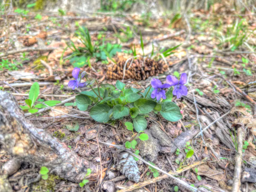 Osterspaziergang 2024