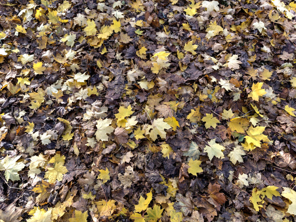 Stefan unterwegs bei Gerlingen