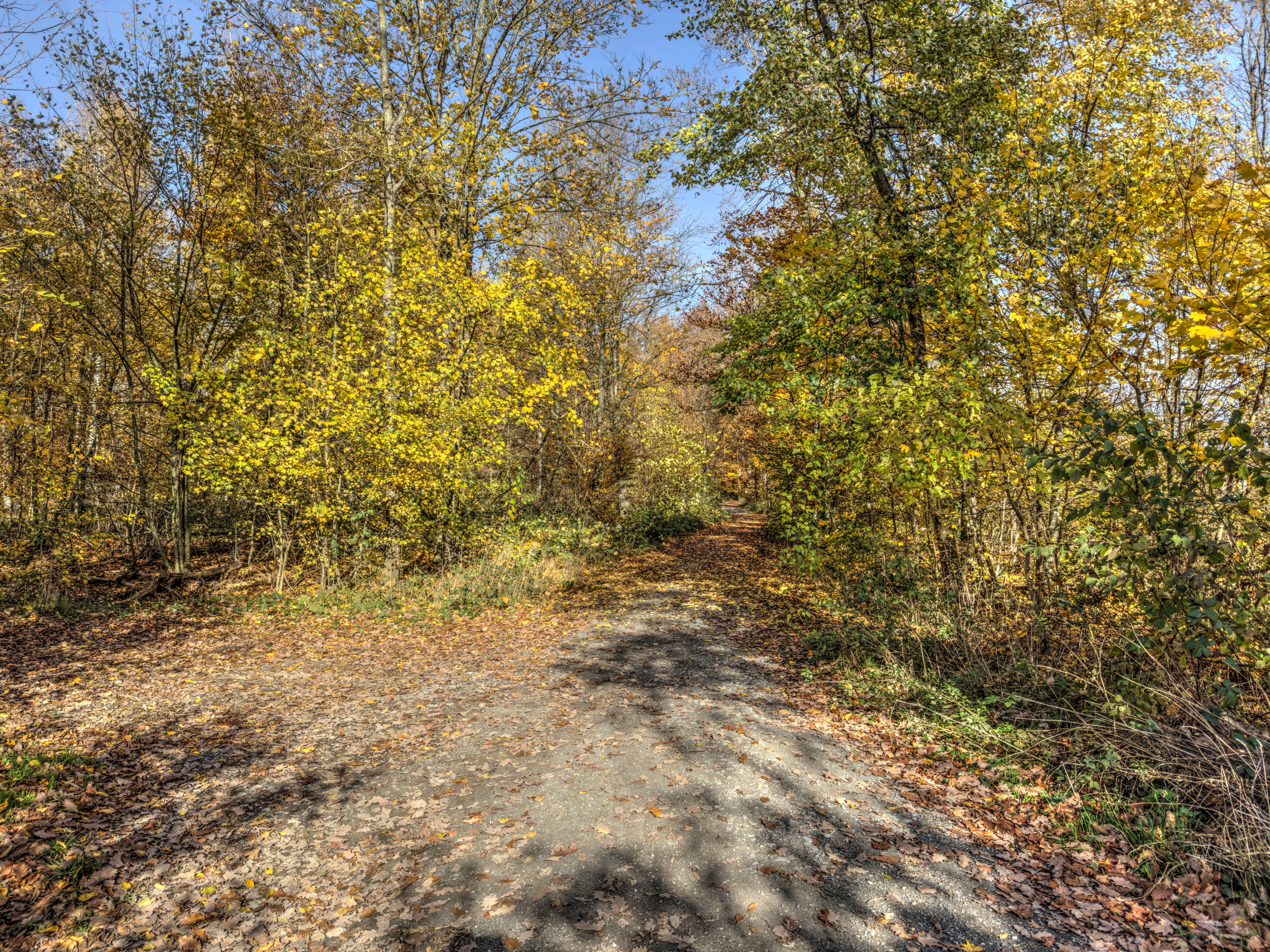 Stefan unterwegs bei Heimerdingen
